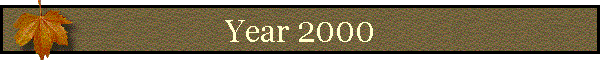 Year 2000