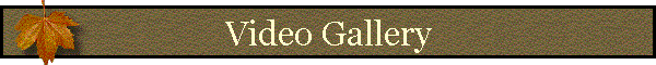 Video Gallery