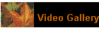 Video Gallery