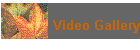 Video Gallery