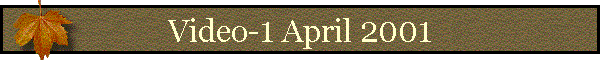 Video-1 April 2001