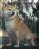 h00c.jpg (28729 �o�C�g)