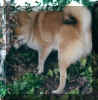 h99j.jpg (19949 �o�C�g)