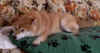 vacation_0033.jpg (11000 bytes)